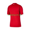 Tenue Turquie Domicile 2026 2027 Maillot de Foot